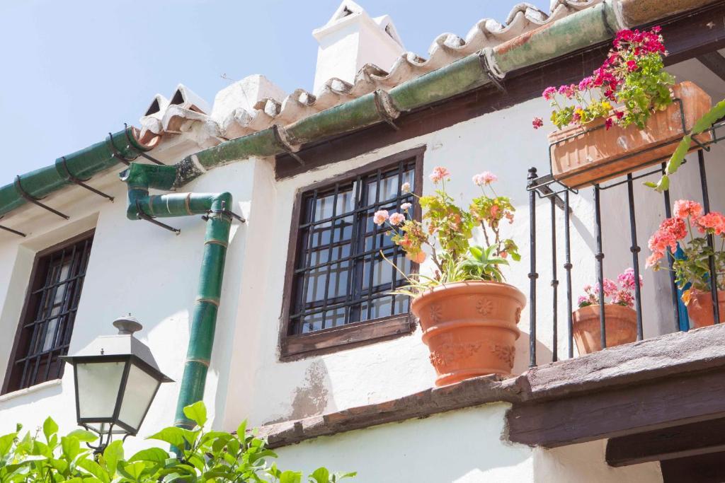 Hotel-Museo Molino De Los Abuelos Comares Εξωτερικό φωτογραφία